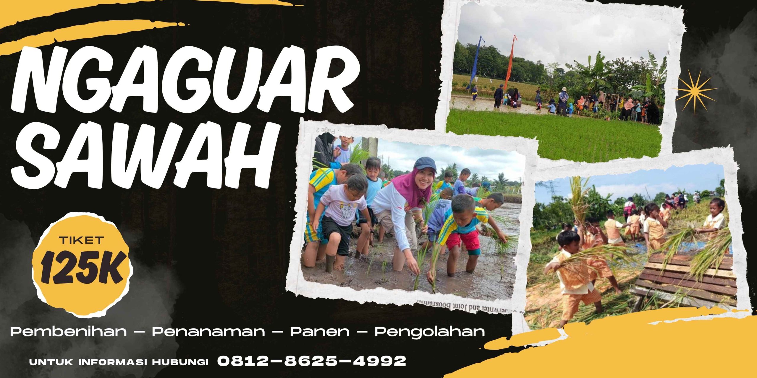 Ngaguar sawah